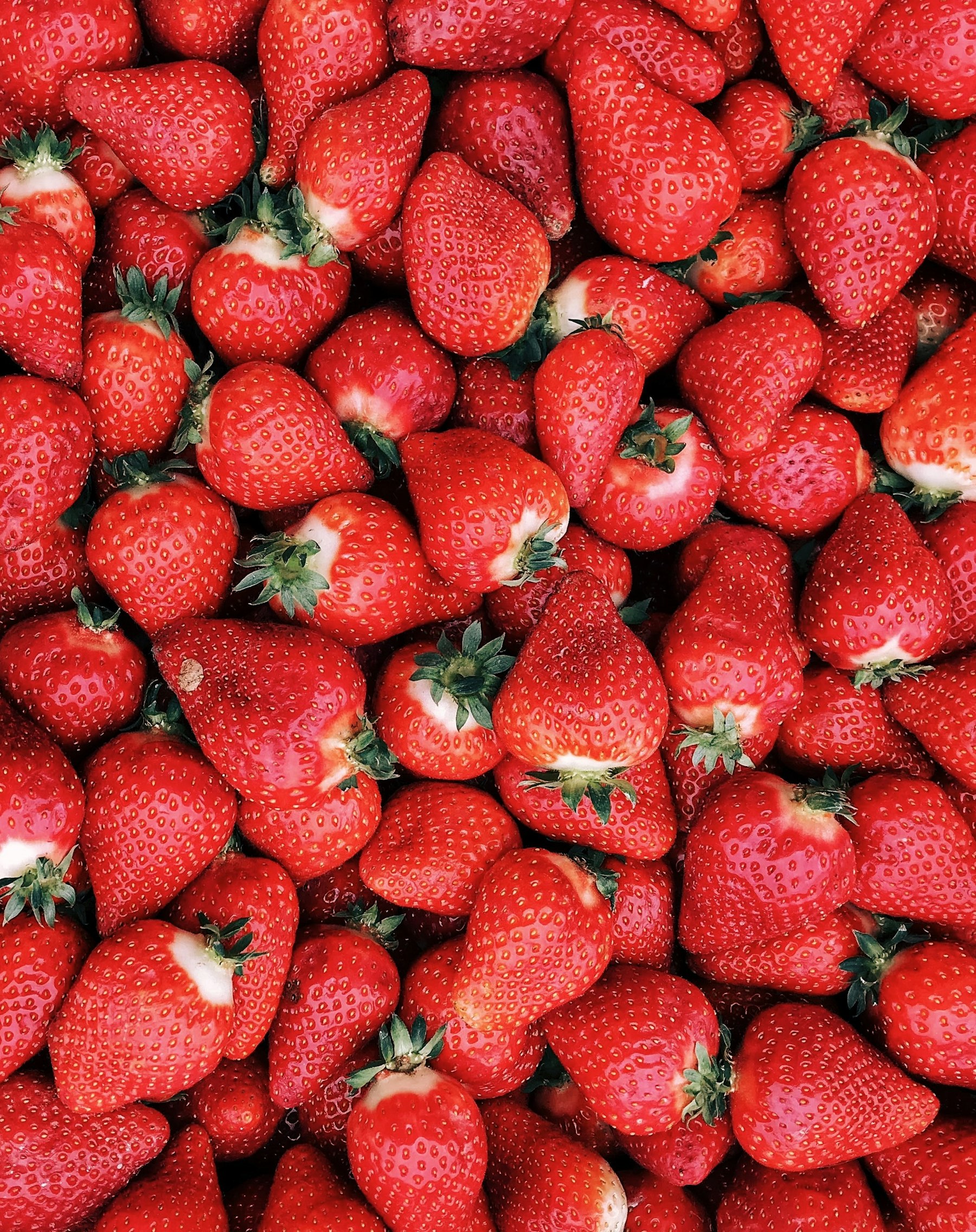 Premium strawberries prepared for market