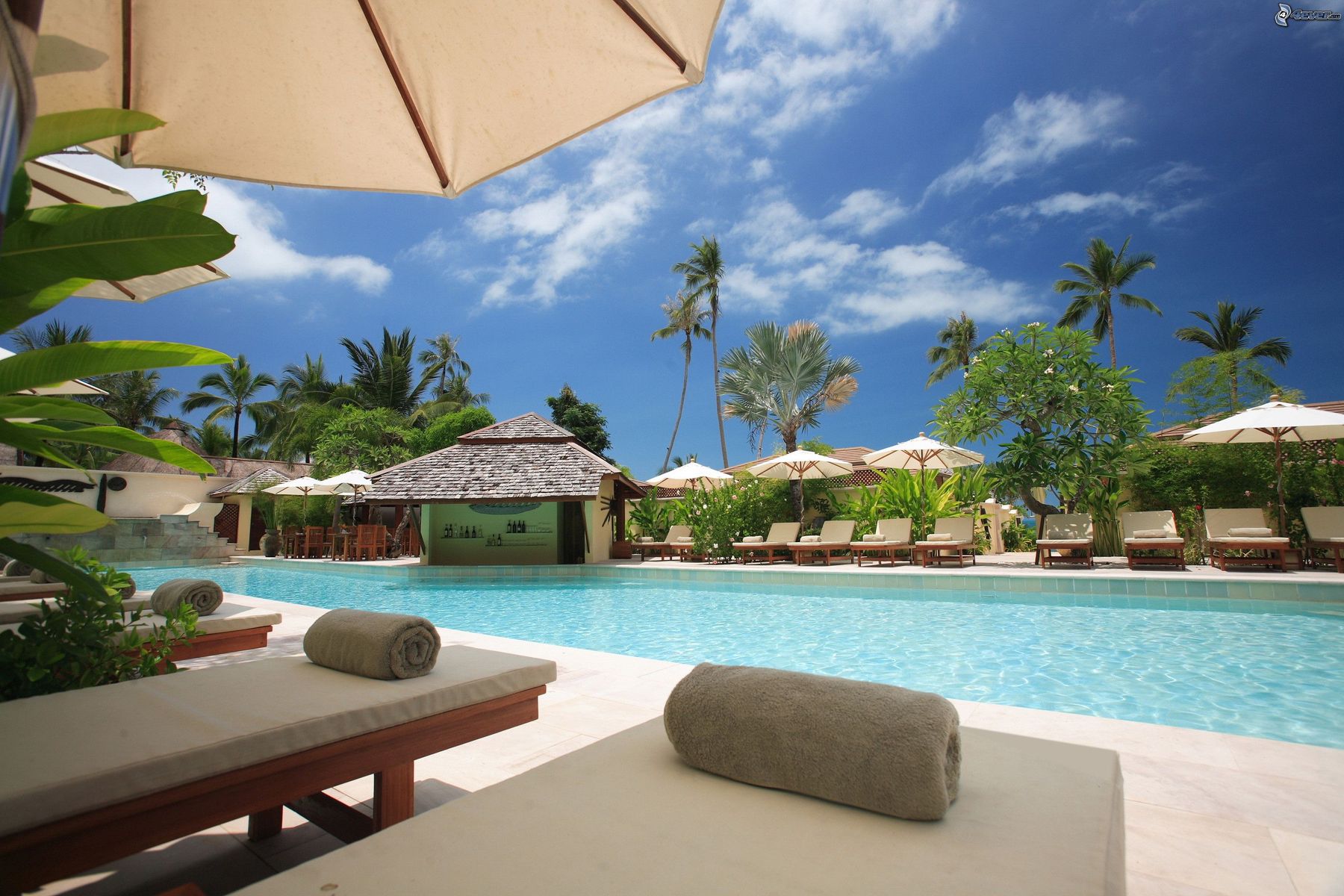 Tropical resort pool with loungers and palms